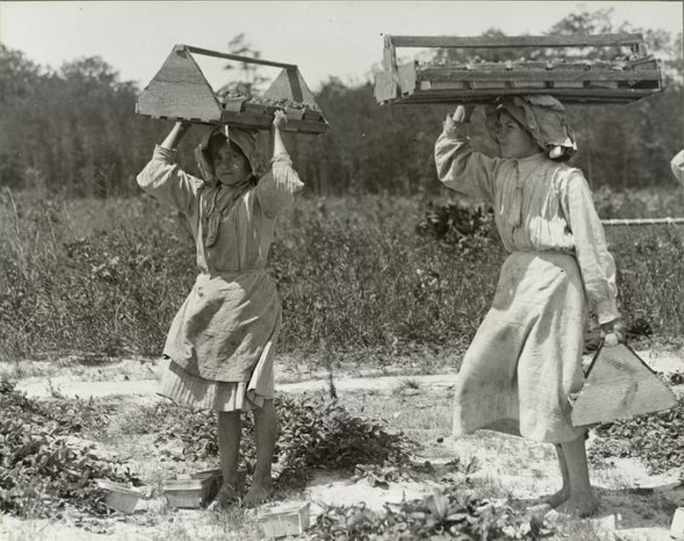 Энн и Энденито несут ягоды с поля в амбар, май 1910