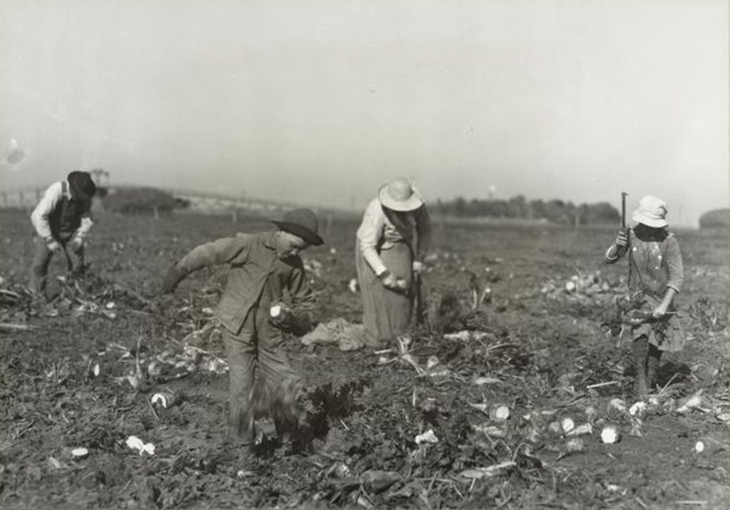 Детский труд на ферме