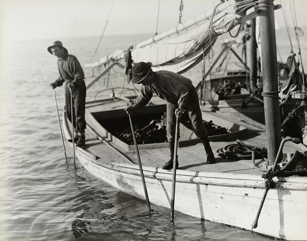 Фред, четырнадцать лет, молодой ловец устриц. Он работает на судне для ловли устриц в Мобил бэй. Февраль 1911